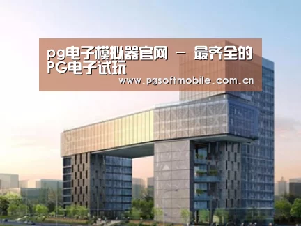 案例展示四