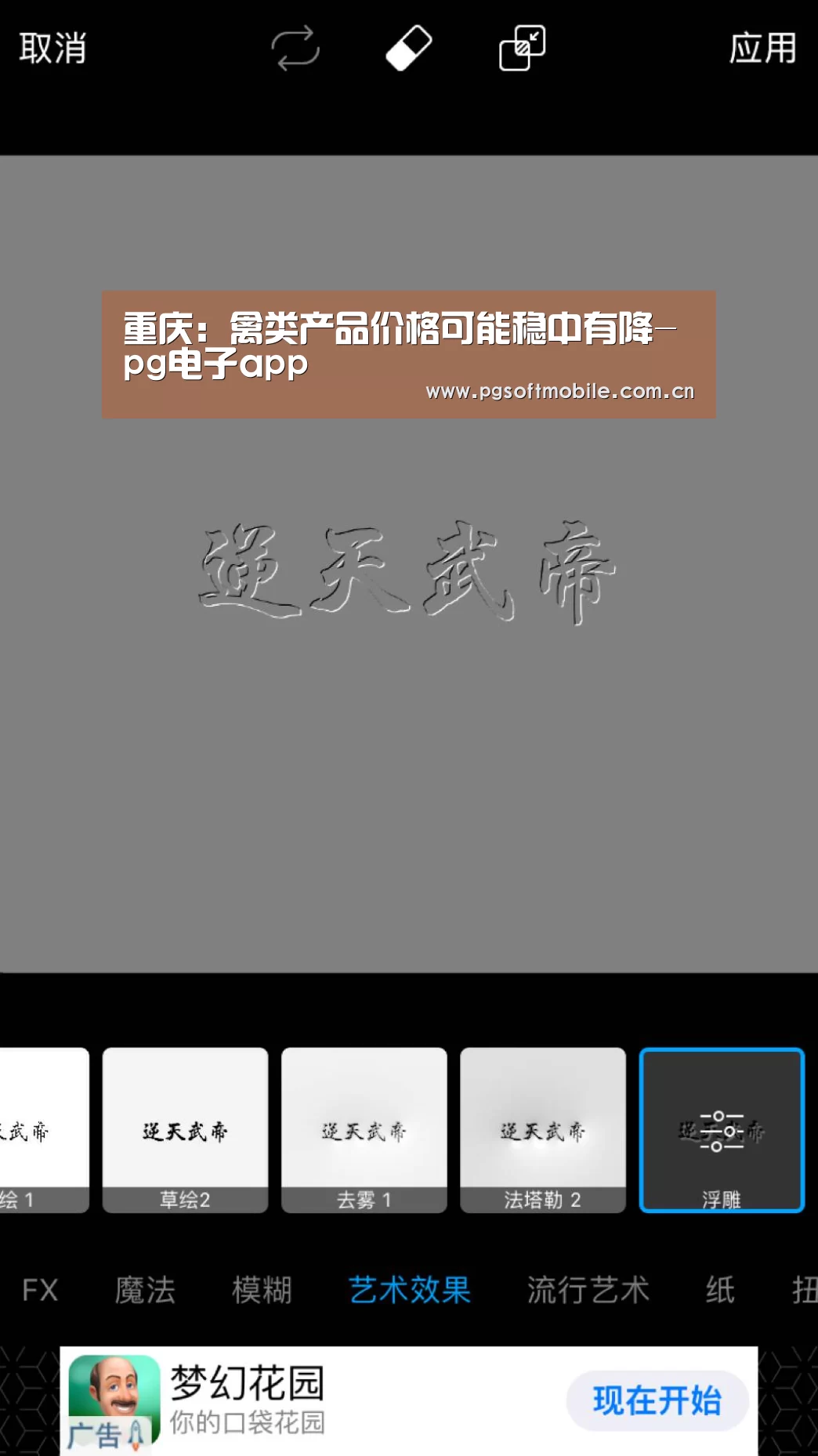 重庆:禽类产品价格可能稳中有降-pg电子app(图1) pg电子app
