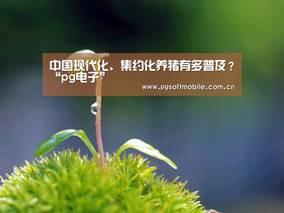 中国现代化、集约化养猪有多普及?“pg电子”(图3) pg电子下载