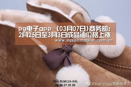 pg电子app-(03月07日)商务部:2月25日至3月3日成品油价格上涨2.5%(图2) pg电子