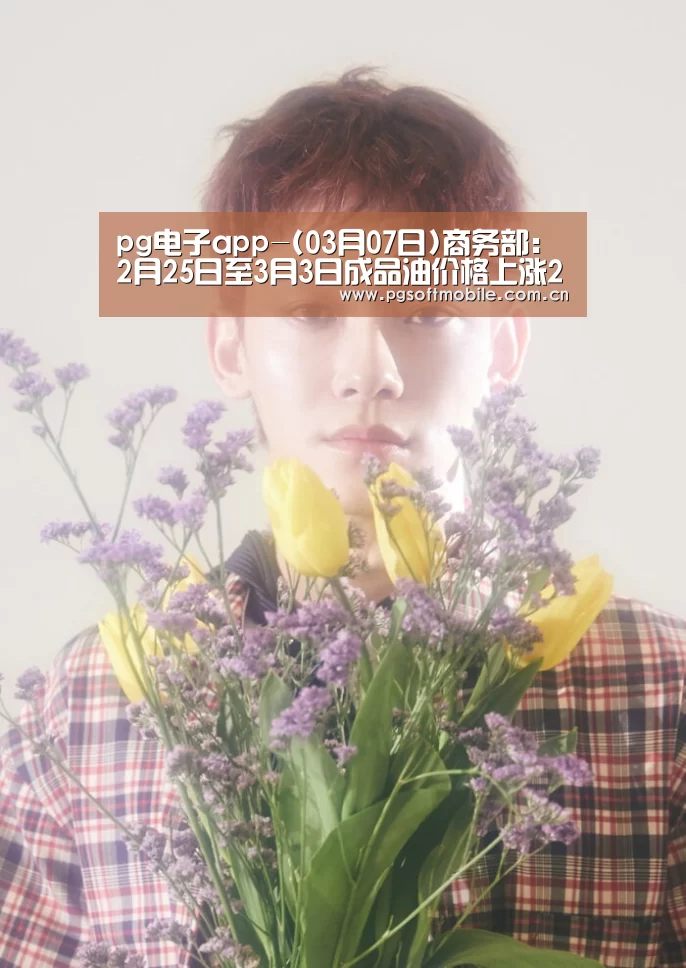pg电子app-(03月07日)商务部:2月25日至3月3日成品油价格上涨2.5%(图1) pg电子下载