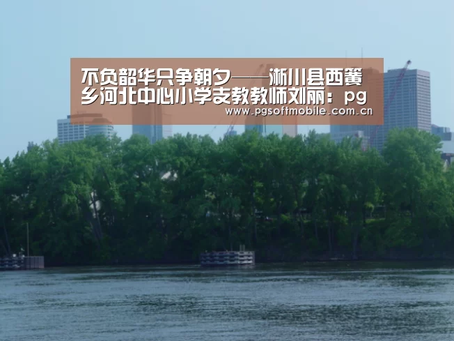 不负韶华只争朝夕——淅川县西簧乡河北中心小学支教教师刘丽:pg电子入口(图1) pg电子入口