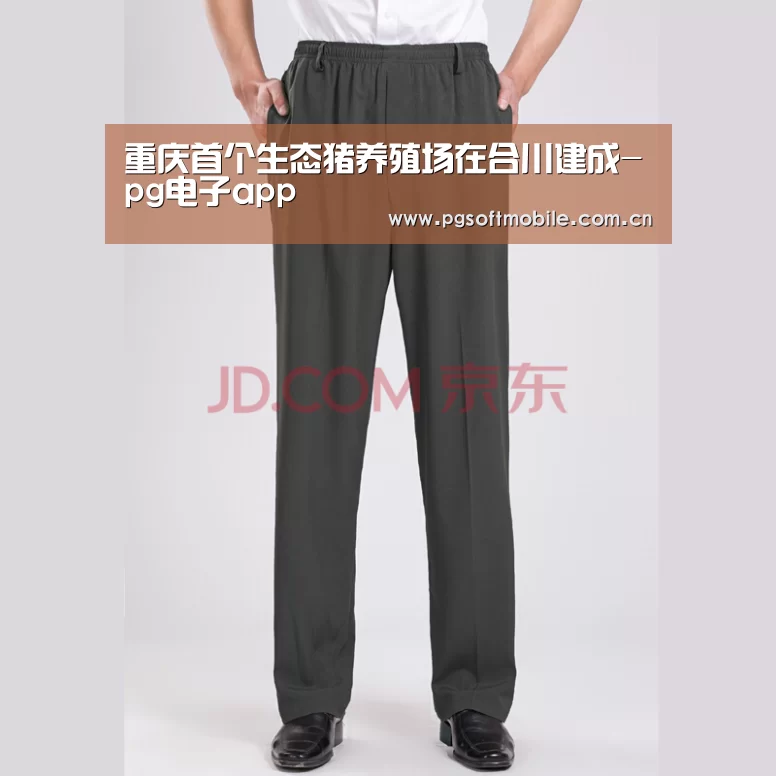 重庆首个生态猪养殖场在合川建成-pg电子app(图3) pg电子下载