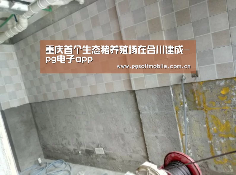 重庆首个生态猪养殖场在合川建成-pg电子app(图4) pg电子下载