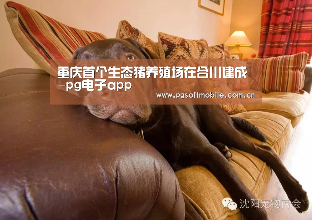 重庆首个生态猪养殖场在合川建成-pg电子app(图1) pg电子app