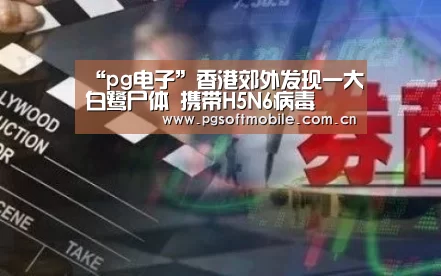 pg电子下载
