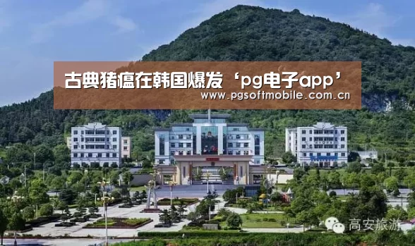 古典猪瘟在韩国爆发‘pg电子app’(图3) pg电子下载