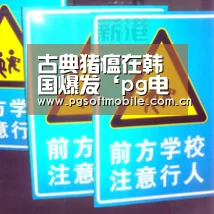 古典猪瘟在韩国爆发‘pg电子app’(图2) pg电子