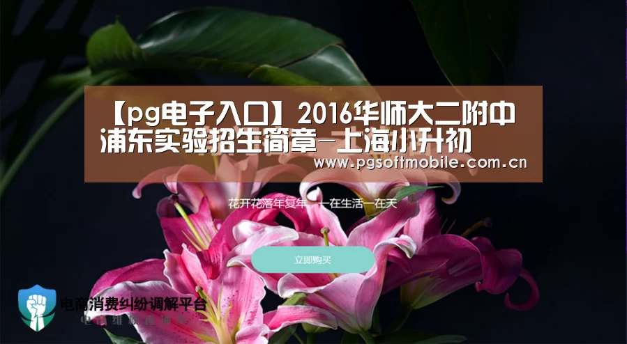 pg电子