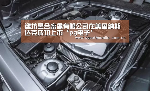 潍坊昱合畜禽有限公司在美国纳斯达克成功上市‘pg电子’(图2) pg电子