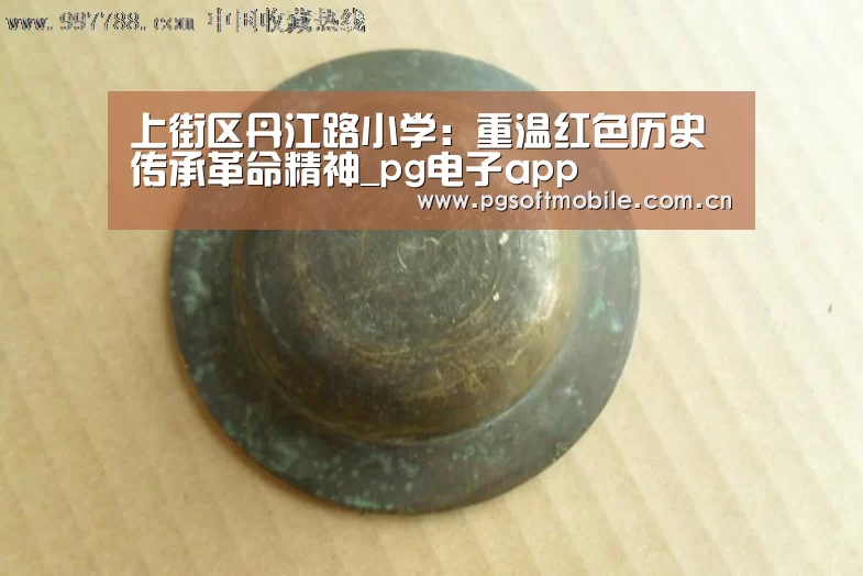 上街区丹江路小学:重温红色历史传承革命精神_pg电子app(图4) pg电子下载