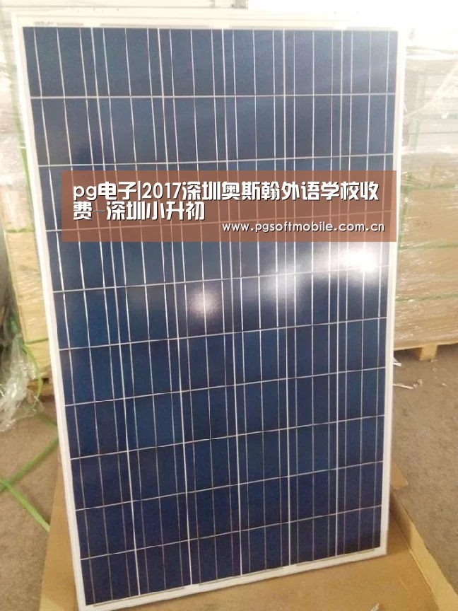 pg电子|2017深圳奥斯翰外语学校收费-深圳小升初(图1) pg电子app