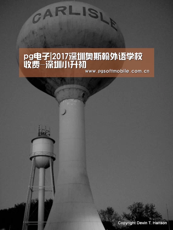 pg电子|2017深圳奥斯翰外语学校收费-深圳小升初(图3) pg电子app