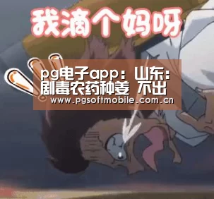 pg电子app:山东:剧毒农药种姜 不出口专内销(图1) pg电子入口