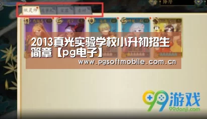 2013真光实验学校小升初招生简章【pg电子】(图3) pg电子app