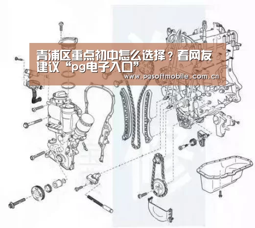 青浦区重点初中怎么选择?看网友建议“pg电子入口”(图2) pg电子