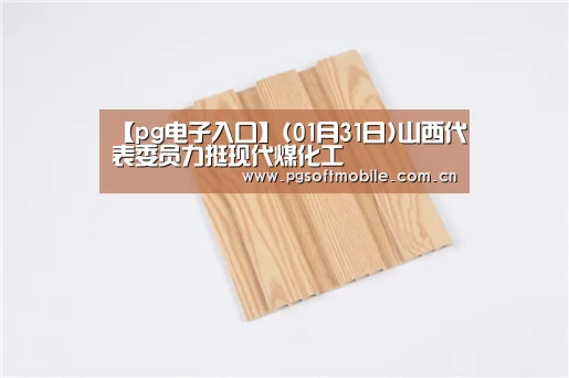 pg电子app