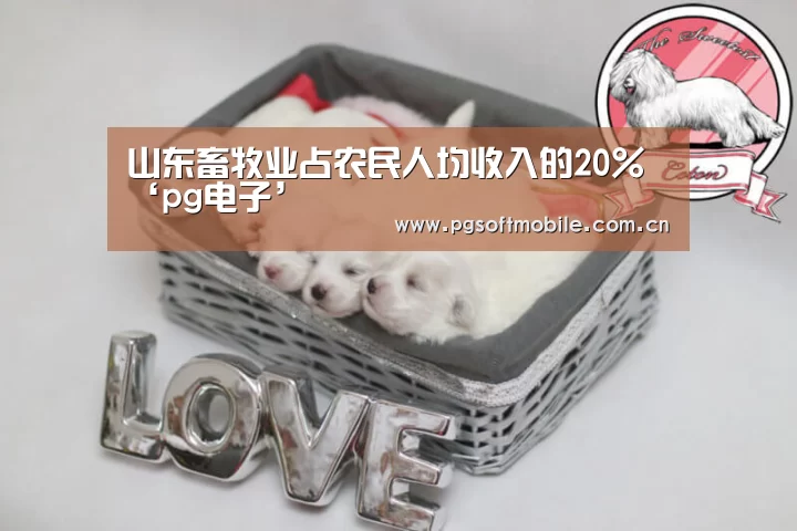 山东畜牧业占农民人均收入的20%‘pg电子’(图1) pg电子