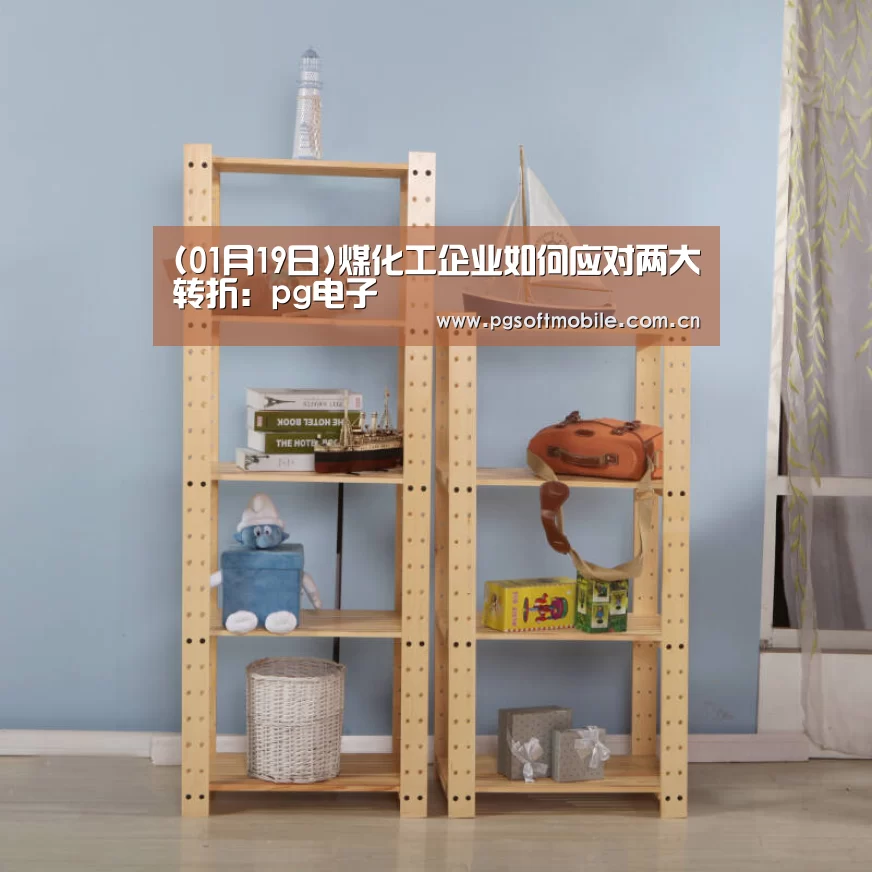 (01月19日)煤化工企业如何应对两大转折:pg电子(图1) pg电子app