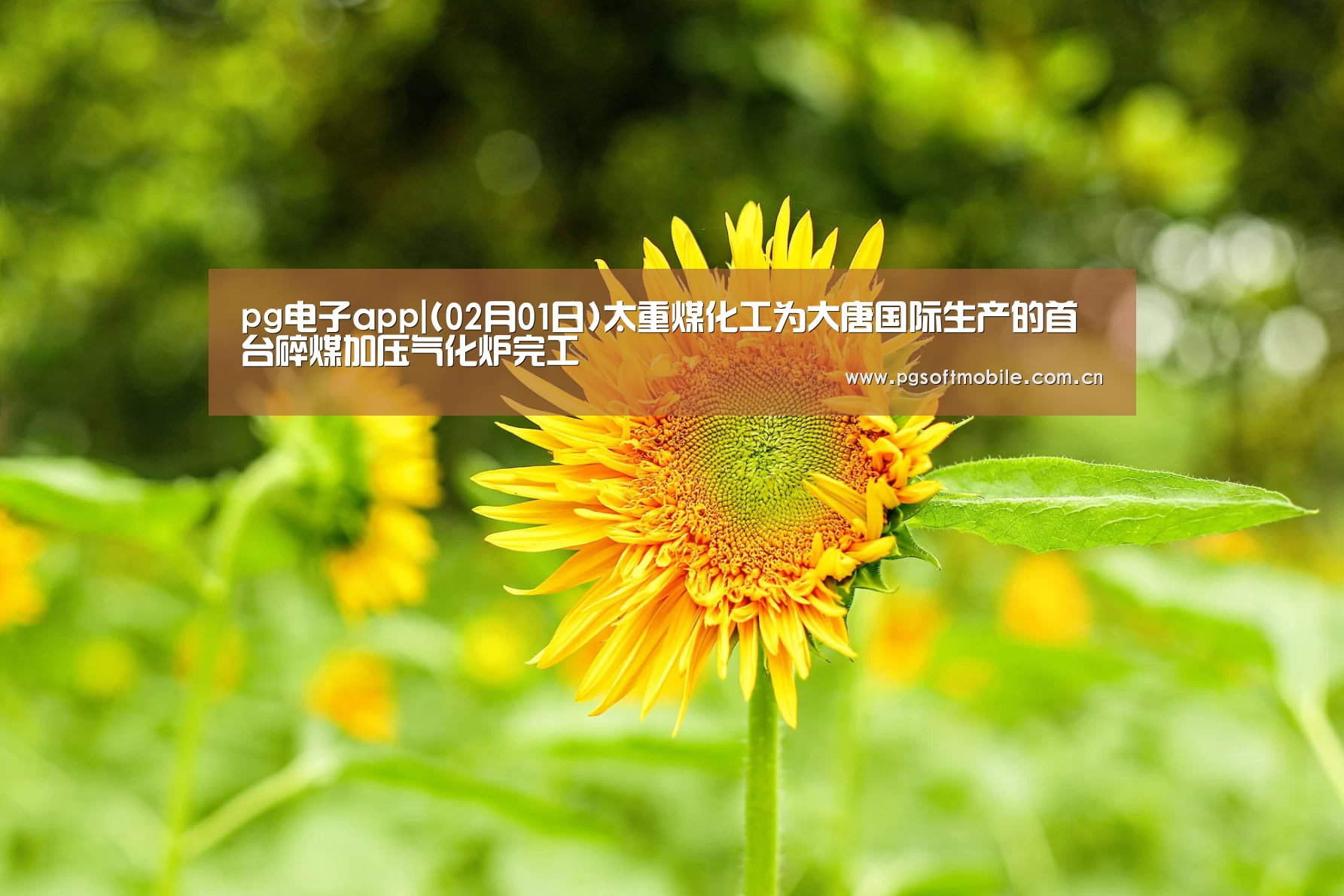 pg电子app|(02月01日)太重煤化工为大唐国际生产的首台碎煤加压气化炉完工(图1) pg电子下载