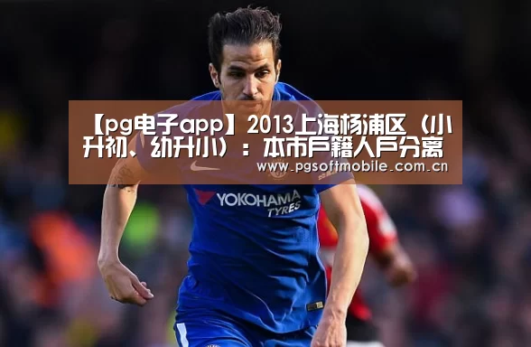 【pg电子app】2013上海杨浦区(小升初、幼升小):本市户籍人户分离适龄儿童、少年居住地登记入学招生方案(试行)(图3) pg电子app