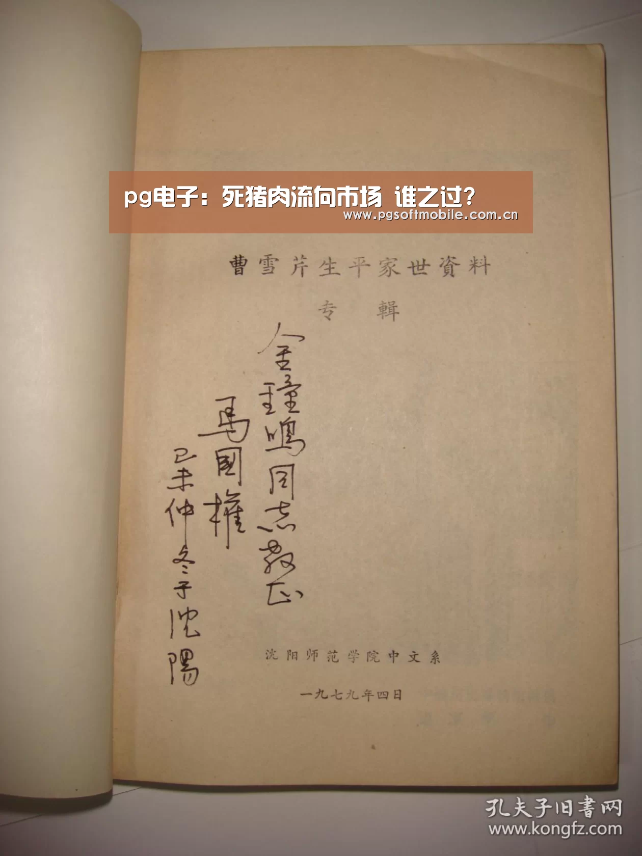 pg电子下载