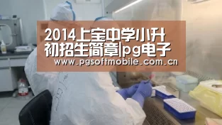 pg电子入口