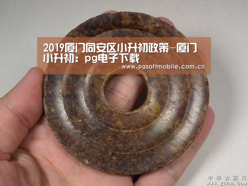 2019厦门同安区小升初政策-厦门小升初:pg电子下载(图2) pg电子app