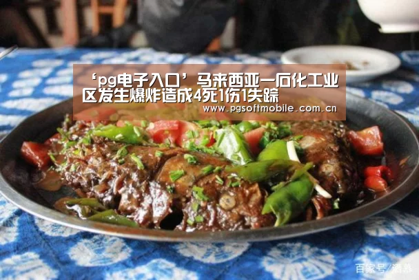 ‘pg电子入口’马来西亚一石化工业区发生爆炸造成4死1伤1失踪(图4) pg电子下载